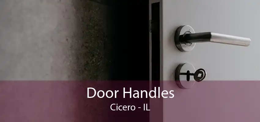 Door Handles Cicero - IL