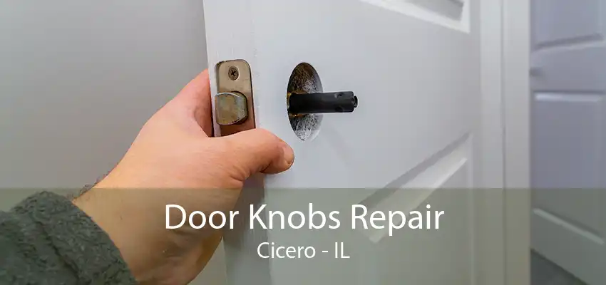 Door Knobs Repair Cicero - IL