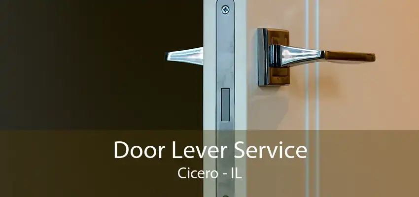 Door Lever Service Cicero - IL