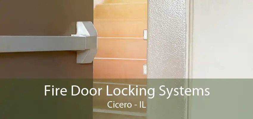 Fire Door Locking Systems Cicero - IL