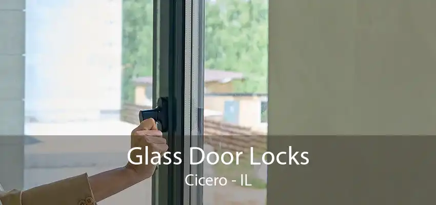 Glass Door Locks Cicero - IL