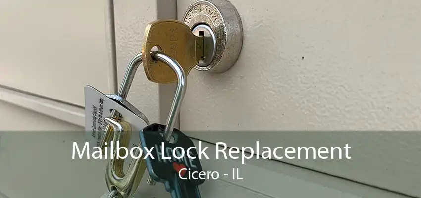 Mailbox Lock Replacement Cicero - IL