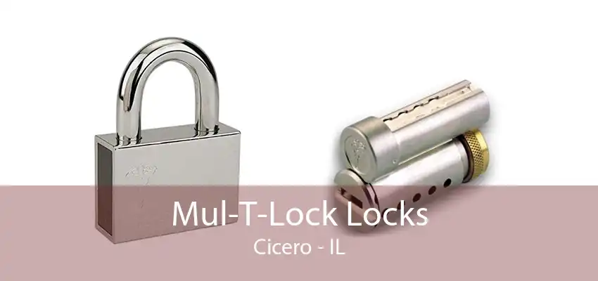 Mul-T-Lock Locks Cicero - IL