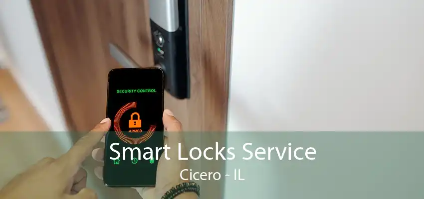 Smart Locks Service Cicero - IL